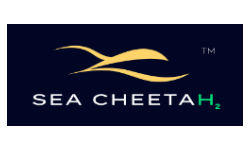 SEA CHEETAH2